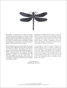 Vorwort / Preface